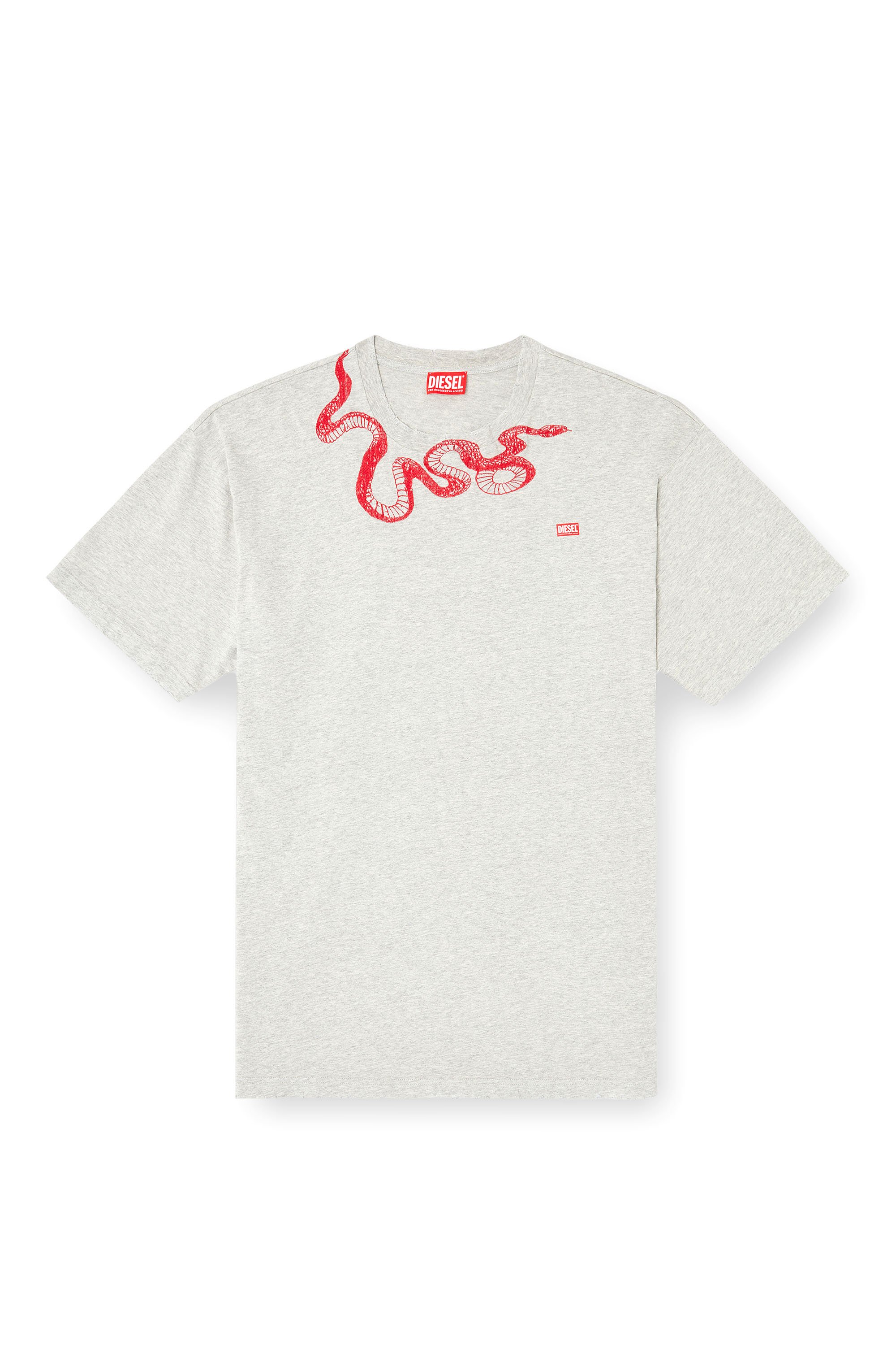 Diesel - CL-T-BOXT-MEL-SNAKE, T-shirt avec broderie serpent Mixte in Gris - 4
