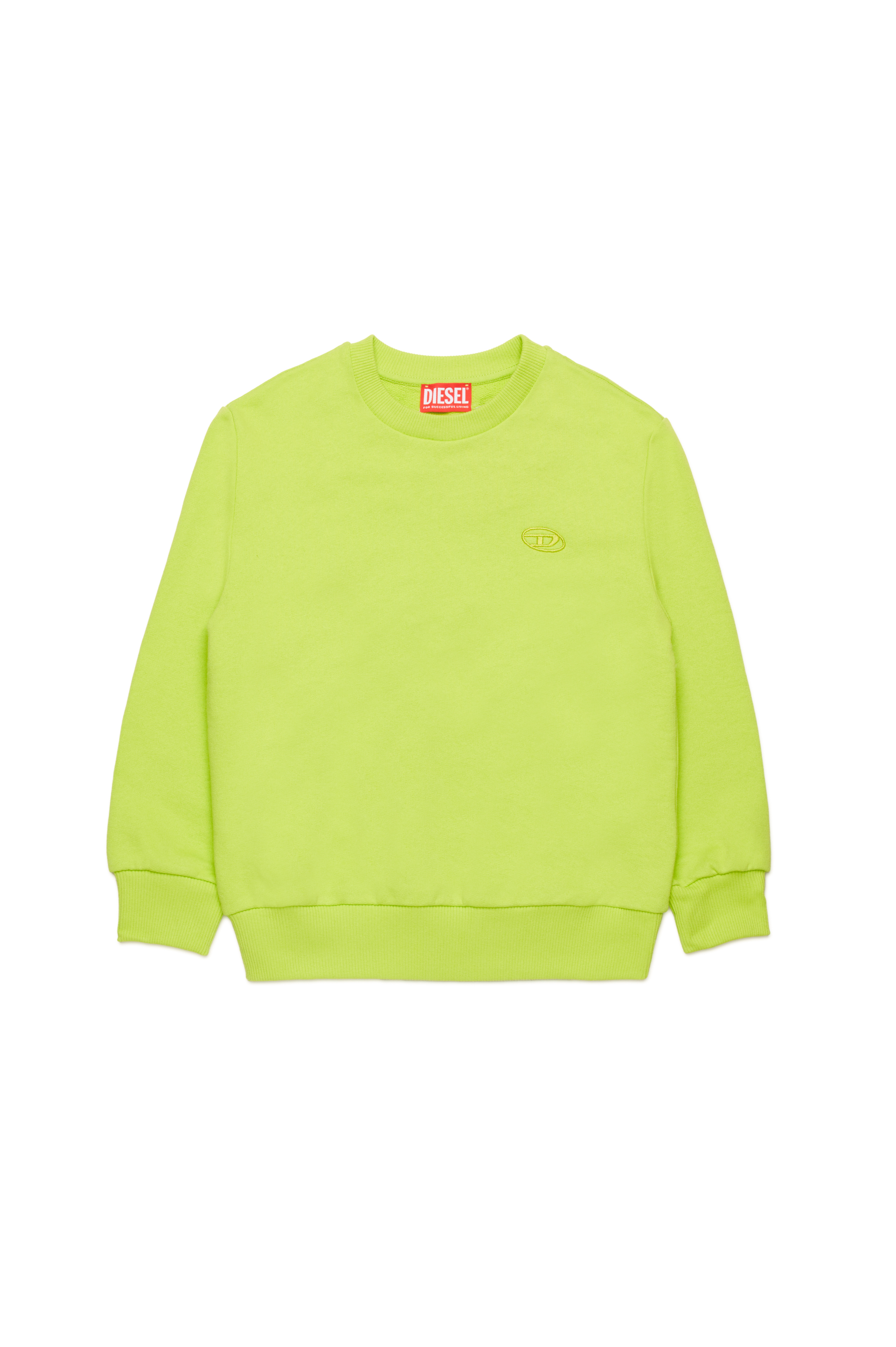 Diesel - SROBMEGOVALD OVER, Sweat-shirt avec mega broderie Oval D Homme in Vert - 1