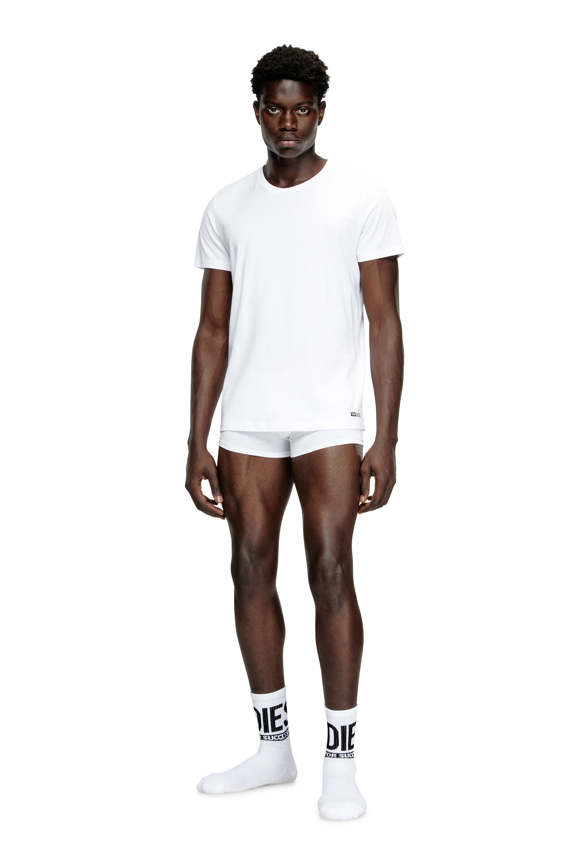 Diesel - RANDAL-D-BOX-3PACK, Set da tre di T-shirt Uomo in Bianco - 3